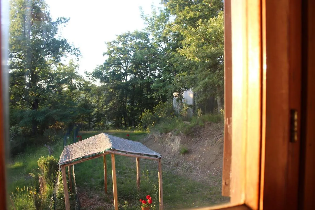 Guest House Il Gatto Gaiole in Chianti Italy